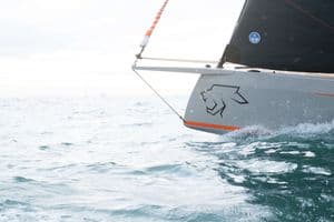 Nouveau Saffier 28 Leopard, un daysailer pour rugir de plaisir